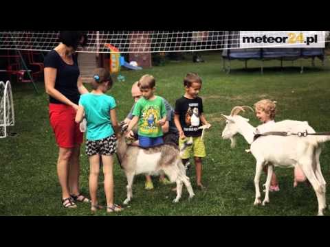 Pokoje Gościnne, Apartament DUDA - Poręba Wielka meteor24.pl