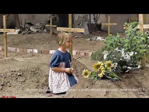 Oficjalny teledysk - POCISK MIŁOŚCI  - WITEK MUZYK ULICY -  TELEDYSK