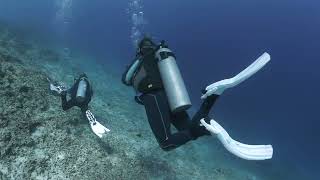 Gili Vibes Diving the Gili Islands Main Video