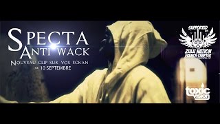 Specta ANTI WACK