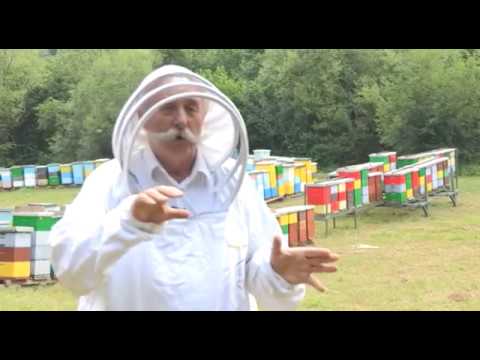 Boja meda ep. 16 26.06.2018. NAJAVA