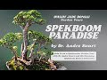 spekboom paradise dwarf jade bonsai garden tours with dr. andre swart