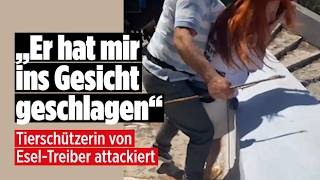SANTORINI: Angriff auf PETA-Aktivistinnen bei Esel-Protest
