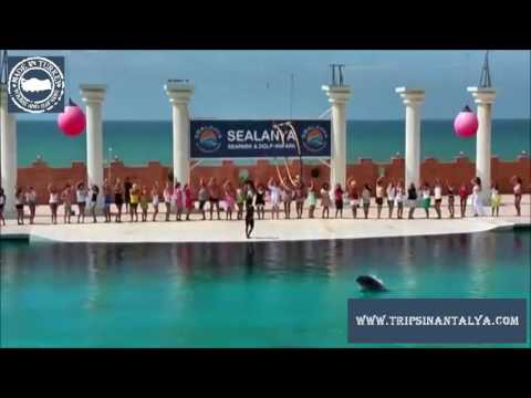 About Manavgat 107 About Manavgat 21