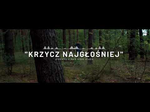 04. Piekielny x Dark Vibes Studio - Krzycz najgłośniej | ZACISZE EP