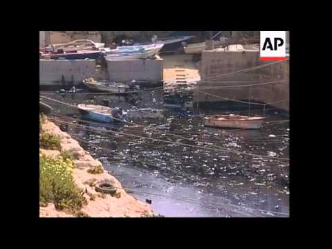 Cleanup team cleaning oil from beach