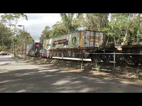 8117 on late 4MP5 at Blackwood