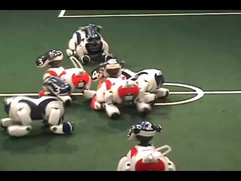 Northern Bites vs. NUbots -- Four-Legged League Finals, RoboCup 2007