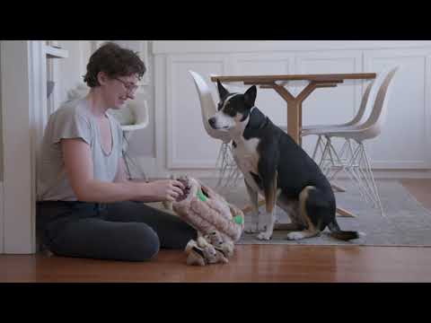 Игрушка интеракт. д/собак Outward Hound Енот пазл-тайник 18х32х18 Серый (oh70498) - фото 1 - id-p2359153142