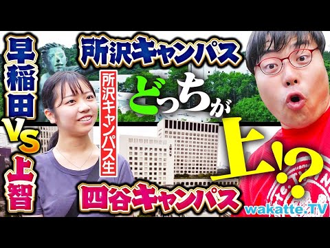 放射線技術学科 【住めば都】腐っても早稲田vs上智どっちが上！？就活・立地・モテ度を徹底調査！【wakatte TV】#1287