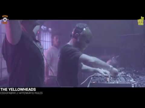 AFFENKÄFIG RULES // THE YELLOW HEADS