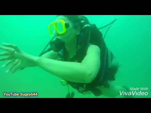 Bueceando playas de Acapulco/ Puerto Escondido/Huatulco/mira lo que encontre