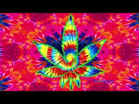 PSYNAMIK   Danzinity