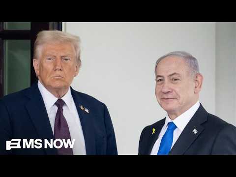 Hamas 'unlikely to actually disarm' despite Trump announcing deal: Middle East expert