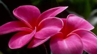 Demis Roussos - From Souvenirs To Souvenirs