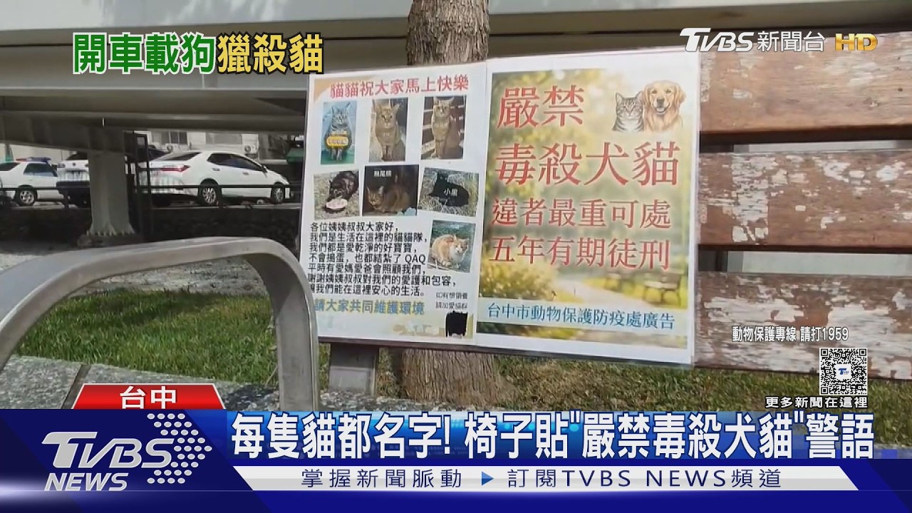 影音/男貨車「載狗獵貓」? 女出聲怒制止 動保處:最高罰1.5萬