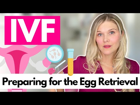Egg Retrieval: What To Expect with IVF