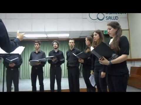 Una sañosa porfía.AVI