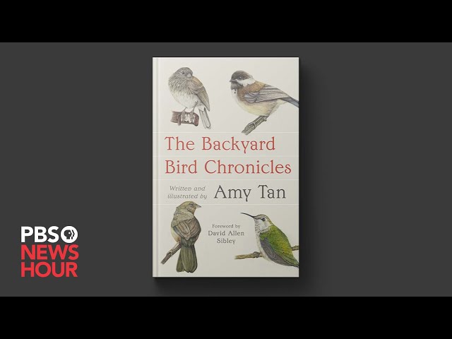 Vídeo relacionado con The Backyard Bird Chronicles