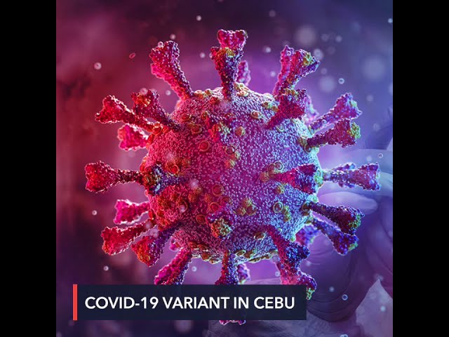 COVID-19 ‘mutation of concern’ detected in Cebu City