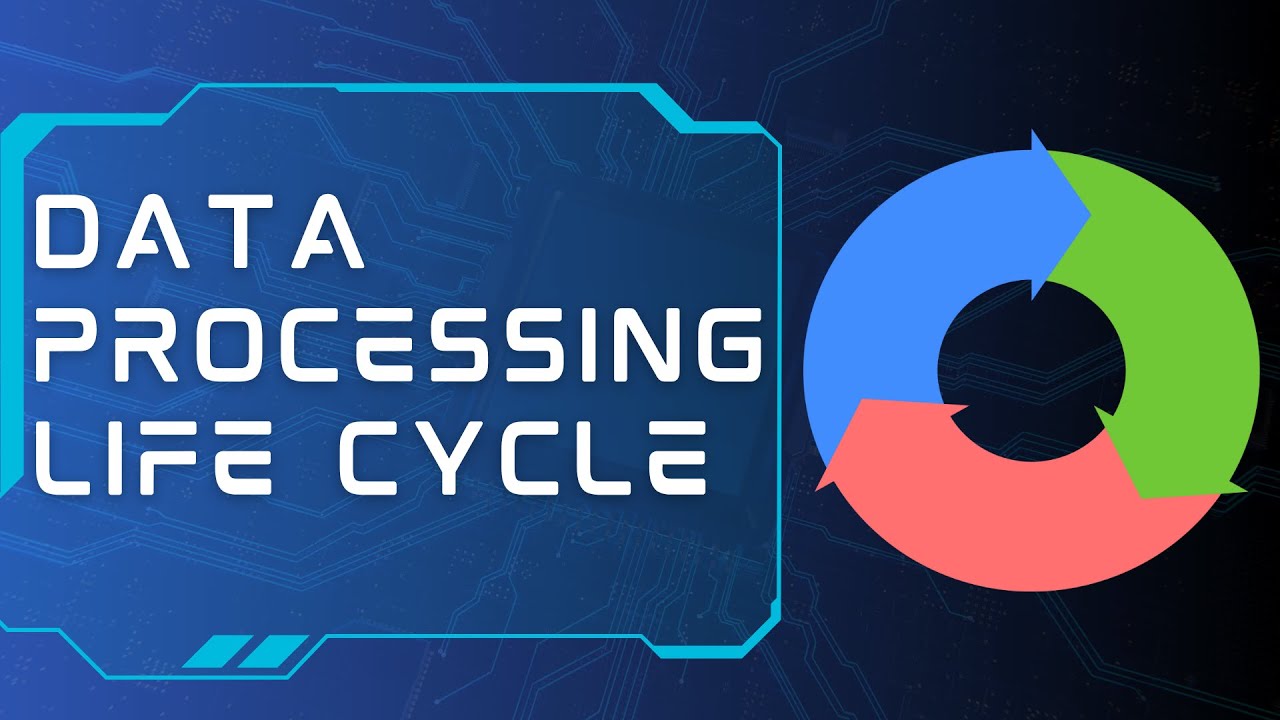 Data Processing Life Cycle