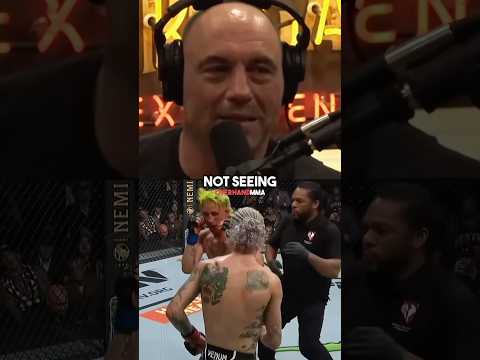 The Best MMA Referee
