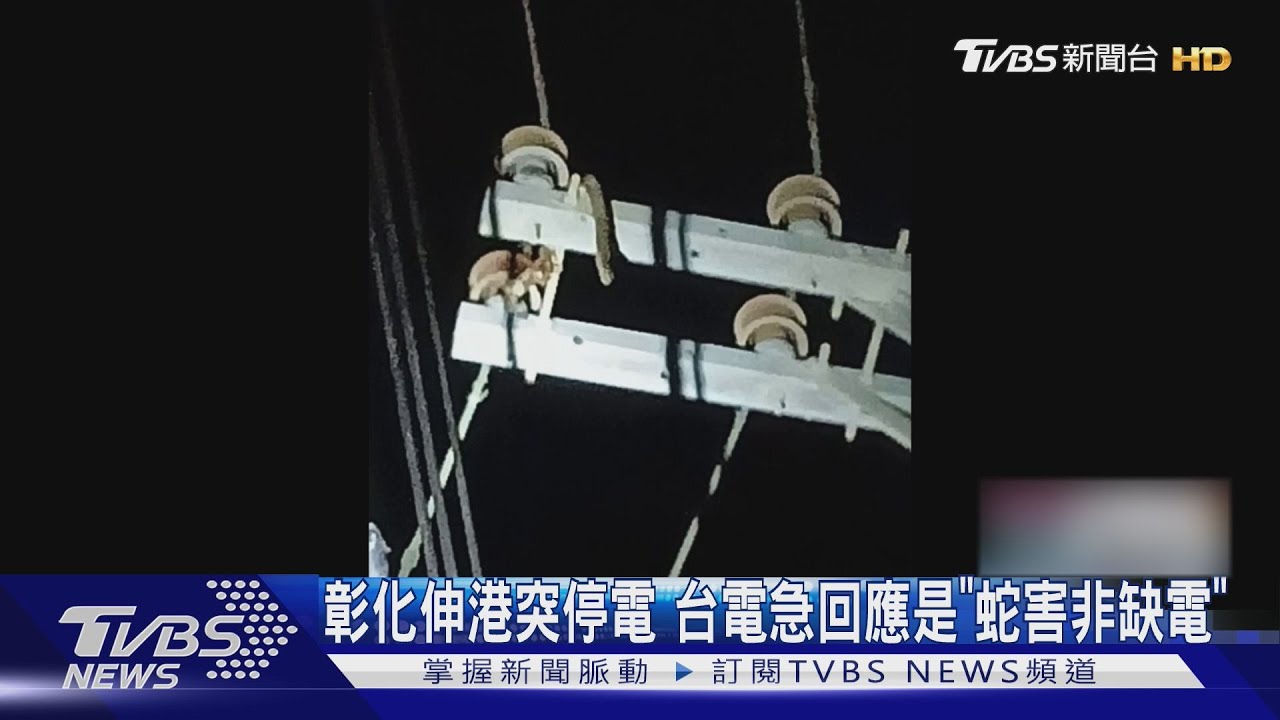 彰化伸港突停電 台電急回應是「蛇害非缺」