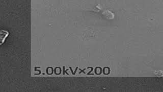 Download lagu FC6A6422CF5B3A705FD48B1AA475D4#1 mp3