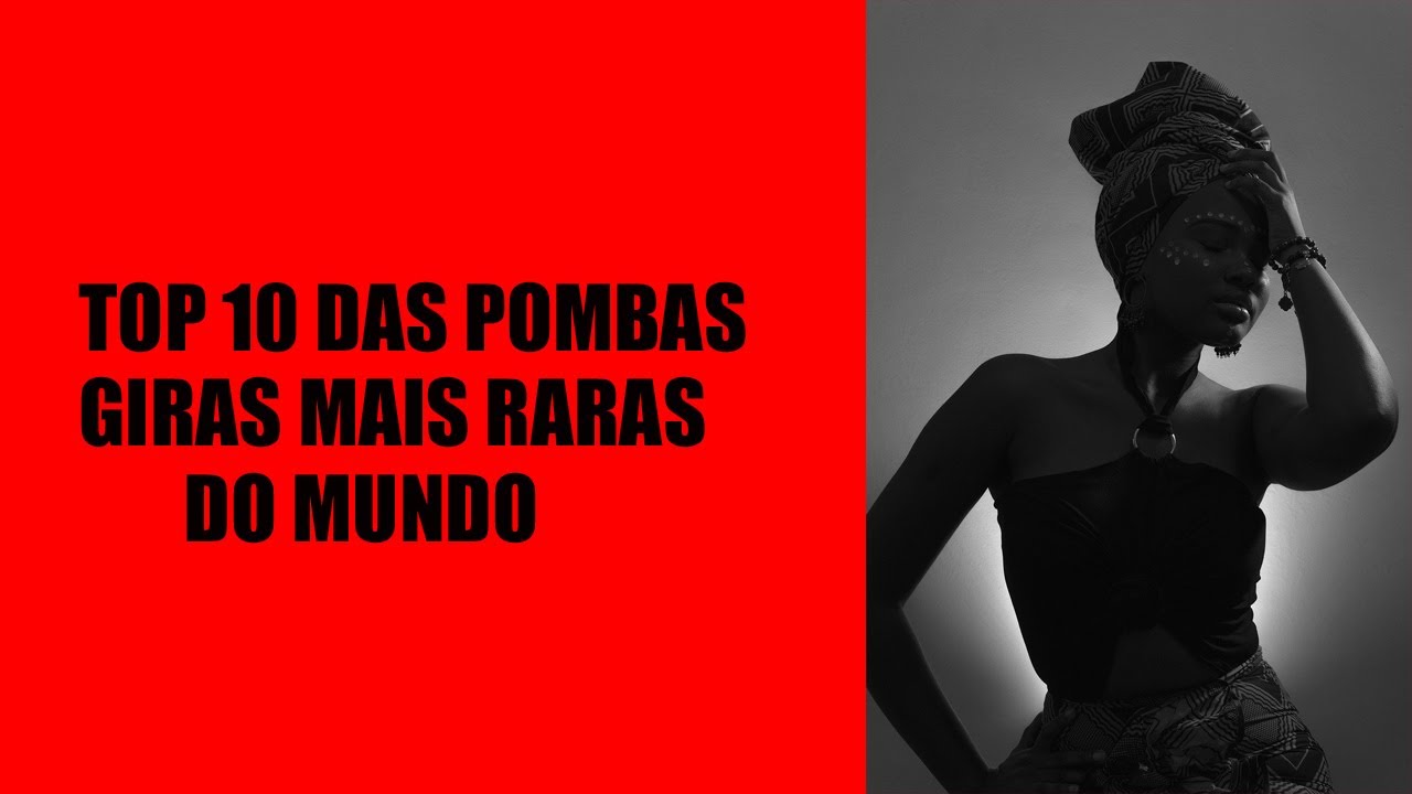 As 10 pombas giras mais raras do mundo - Será que tem pomba recente?