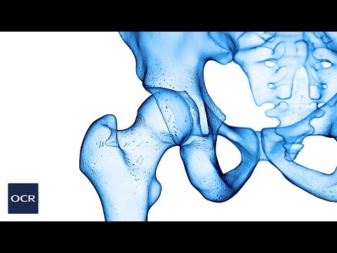 Types of synovial joint - OCR GCSE PE - Skeletal System (1.1)