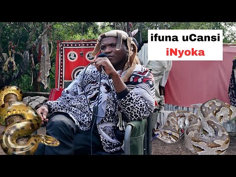 iSithwalo Senyoka, iThanda Kakhulu uCansi Inyoka, Ngeke uGanwe, iNesikhwele iNyoka - Dr 2+2