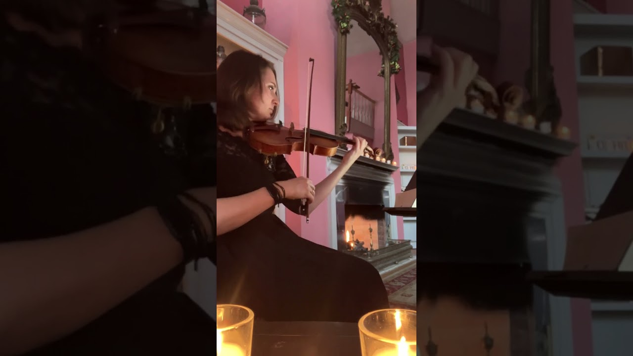 Promotional video thumbnail 11 for Wake Forest Violin