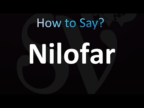 How to Pronounce Nilofar