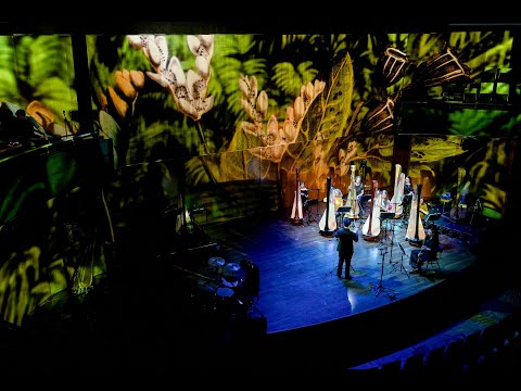 Dutch Harp Festival 2021 — Grand Opening