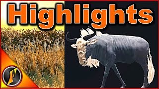 Wildebeest (2017) Music Video