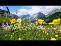 Italy S Alps Beautiful Relaxing Music Peaceful Soothing Instrumental Music By Tim Janis