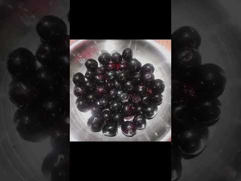 Jamu kolo #shortsfeed #ytshorts