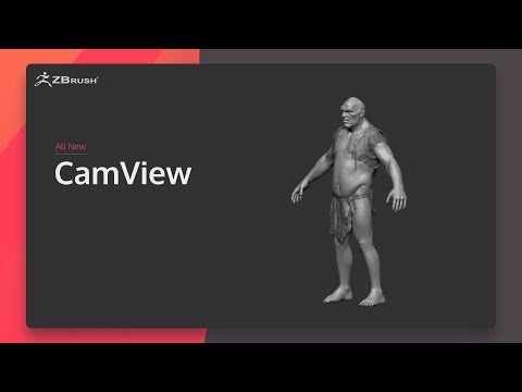 ZBrush 2020 - CamView