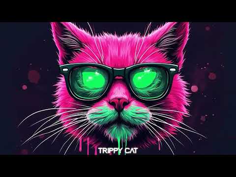 Trippy Cat Dark Minimal Techno Mix 2025