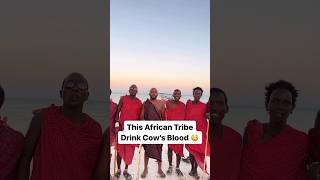 They Drink Blood 😳🩸#zanzibar #travel  #maasaitribe