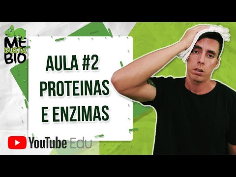 Proteins and Enzymes