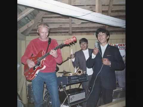 Ronny & The Loafers - Se Jokin Sinulla On (You've Got What I Like) - 1964