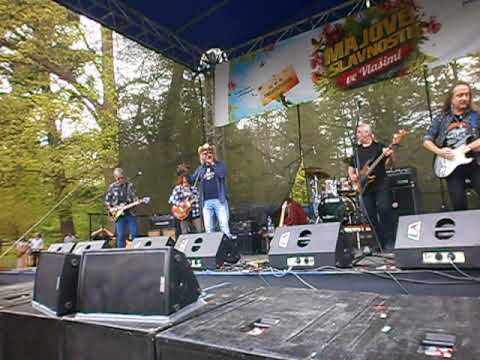 Žlutý pes - Sametová