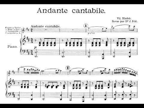 Vilém Blodek - Andante Cantabile for flute and orchestra