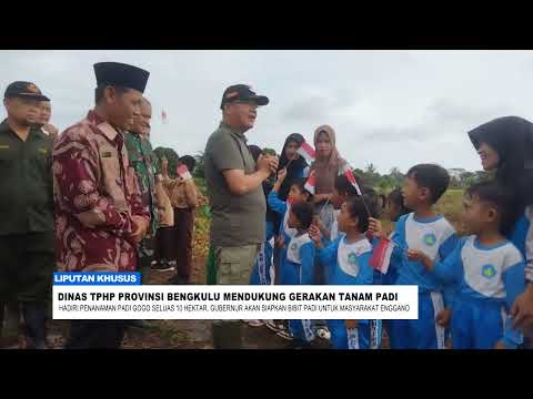 Gubernur Tanam Padi Gogo Bersama Masyarakat Enggano