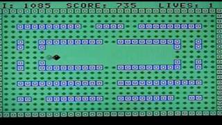 Tapeworm on Memotech MTX512 vintage home computer. Gameplay & Commentary