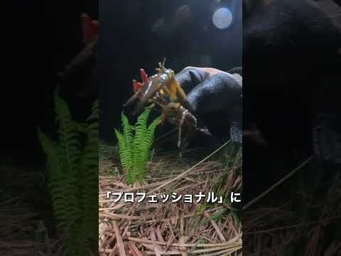 バイオデータサイエンス学科 【自然 × 学び】教科書だけじゃ学べない！