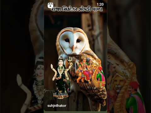 જે ઝોપડી