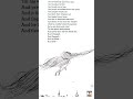 The Long Haired Boy by Shel Silverstein