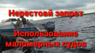 Осенний запрет на рыбалку лен обл